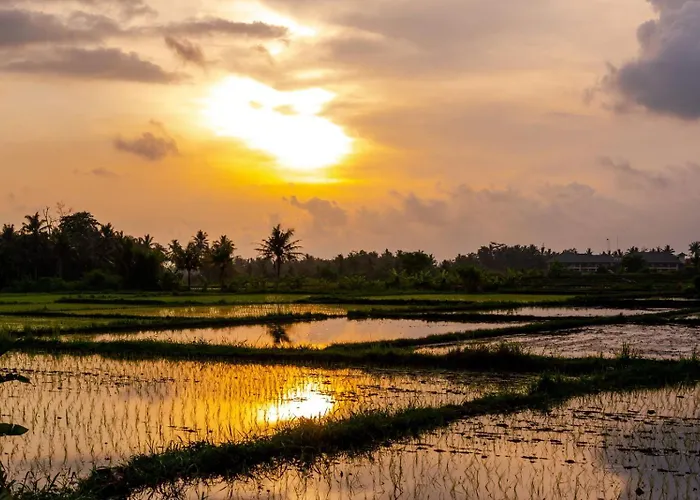 Villa Suga Estate - Rice Field View Ubud