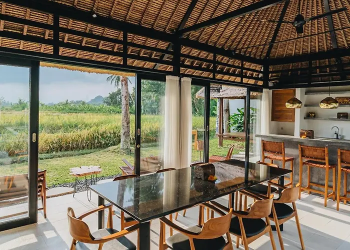 Suga Estate - Rice Field View *